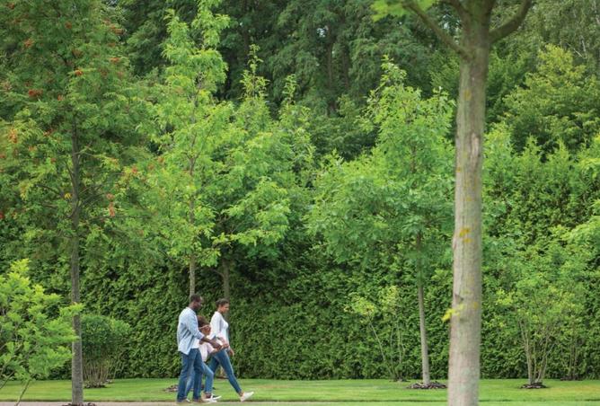 15477037 - صورة العقار 3