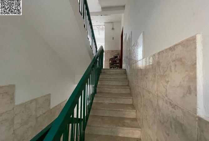15161209 - Property Image 3
