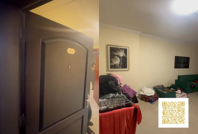 16029624 - Property Image 3