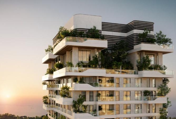 15540688 - Property Image 3