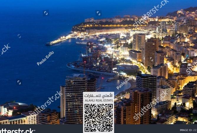 15488975 - صورة العقار 3