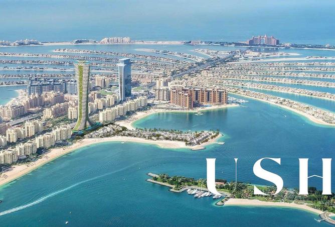 15967510 - صورة العقار 2