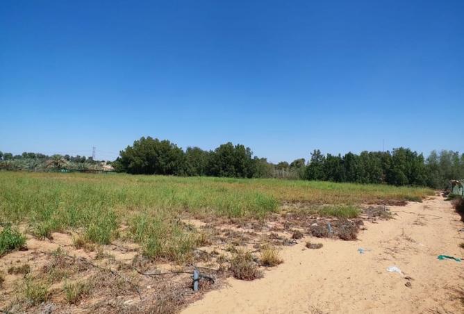 15367176 - Property Image 3