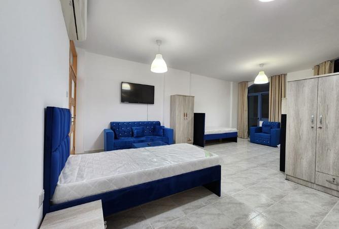 15789585 - Property Image 3