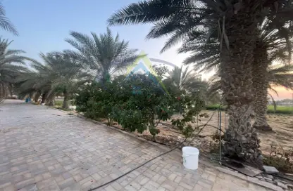 Farm - Studio for sale in Manazel Al Reef 2 - Al Samha - Abu Dhabi