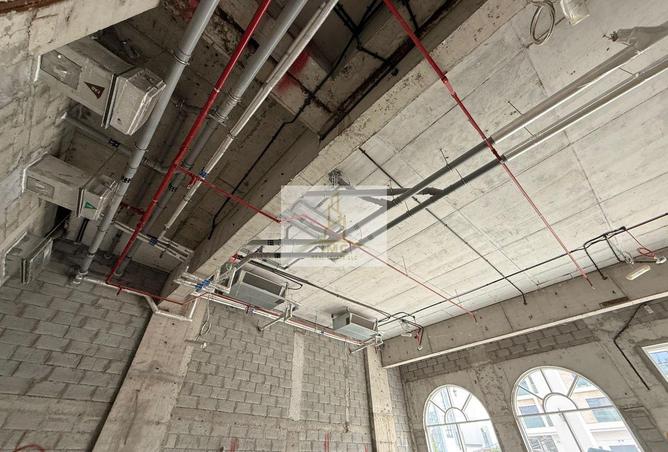 15919905 - Property Image 3