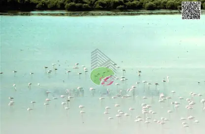 أرض - استوديو للبيع في سيسايد ريزيدينس هيلز - الزورا - عجمان