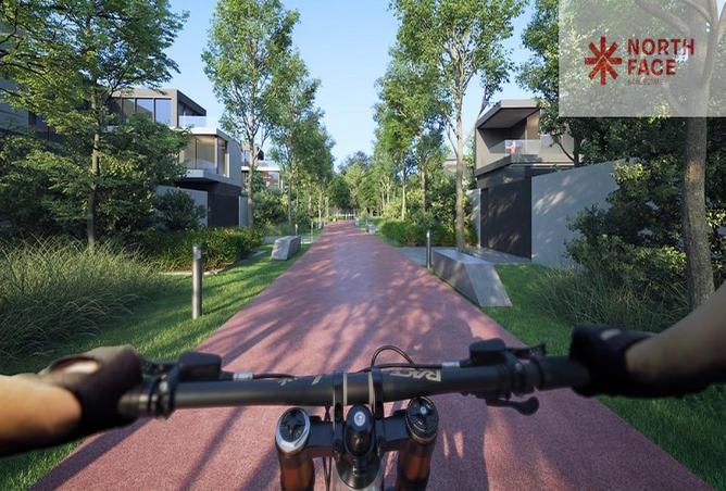 15258384 - Property Image 3