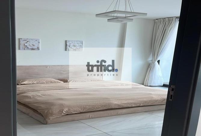 15494049 - Property Image 3