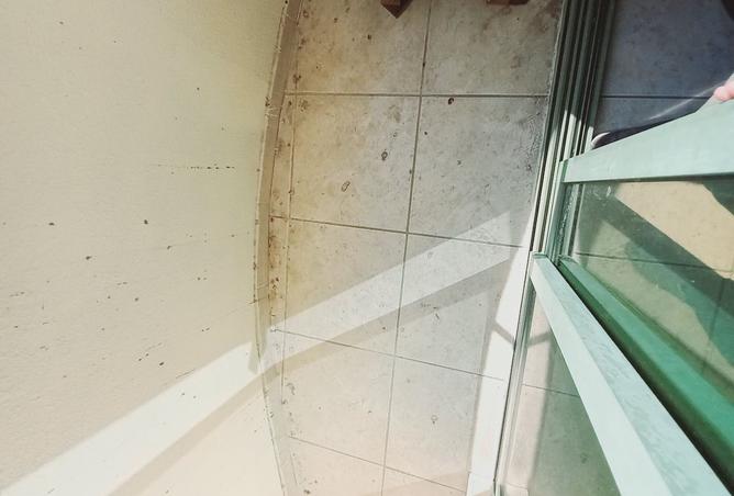 15737981 - Property Image 3