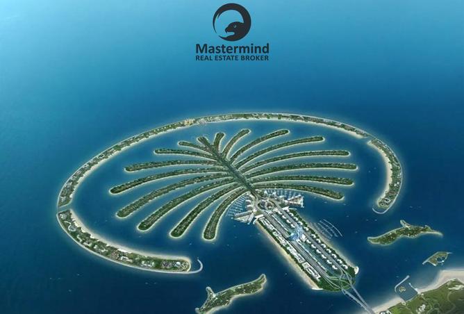 15831164 - Property Image 3