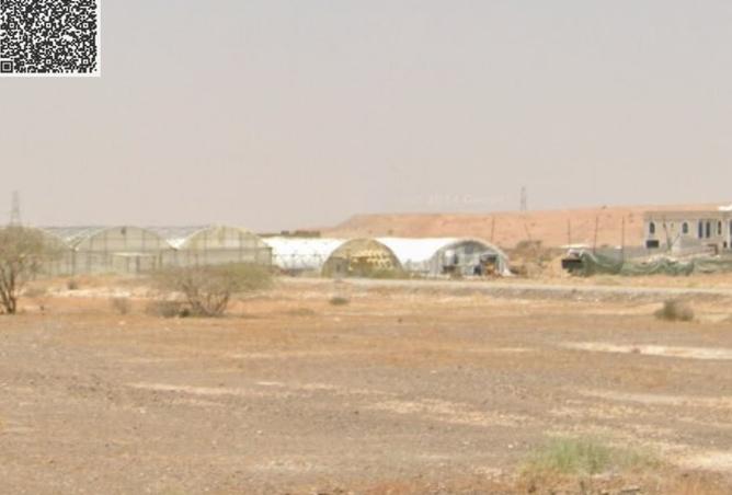 15959752 - Property Image 3