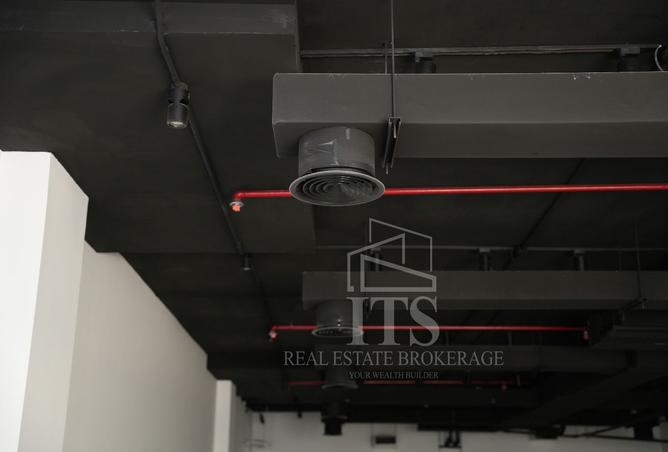 15589546 - صورة العقار 3