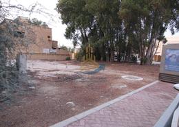 صورةمبنى خارجي لـ: أرض للبيع في هضبة الزعفرانة - منطقة المرور - أبوظبي, صورة 1