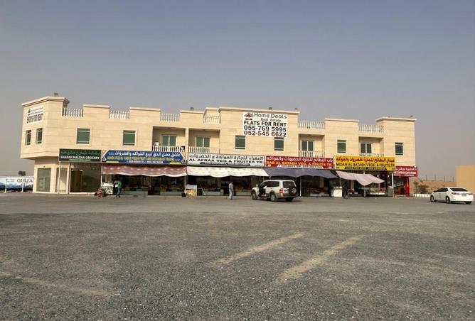 15582051 - Property Image 3