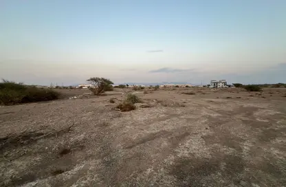 أرض - استوديو للبيع في المنامة - عجمان أرض - استوديو للبيع في المنامة - عجمان