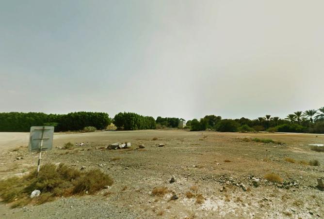 15743389 - Property Image 2