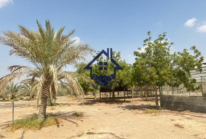 15816602 - Property Image 2