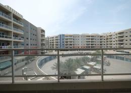 Apartment - 2 bedrooms - 2 bathrooms for rent in Tower 16 - Al Reef Downtown - Al Reef - Abu Dhabi