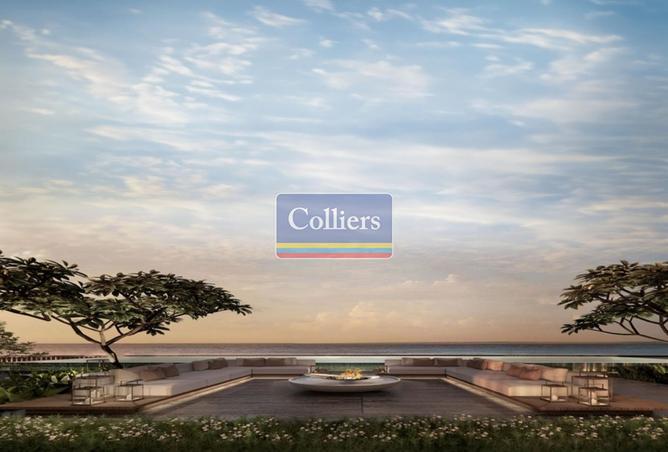 15542597 - Property Image 3