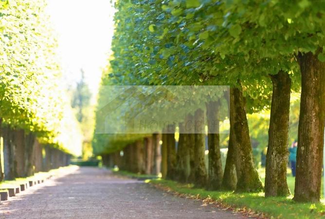 15866832 - Property Image 2