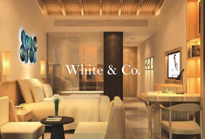 16028552 - Property Main Image