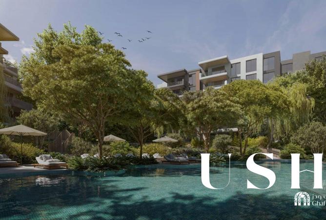 15498773 - Property Image 2