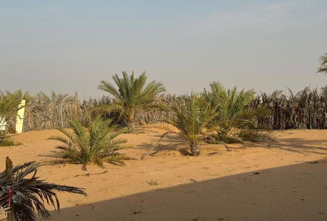 15494711 - Property Image 3