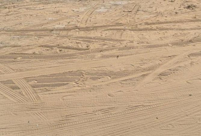 15690544 - Property Image 3