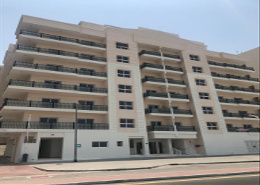 Apartments For Rent In Amro Building 4 Flats For Rent Property Finder Uae
