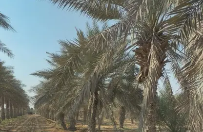 Whole Building - 5 Bedrooms - 5 Bathrooms for rent in Al Mukawwrah - Ras Al Khaimah