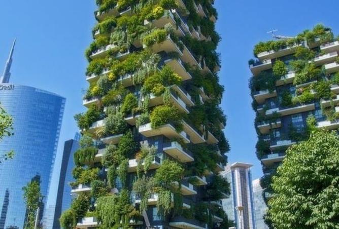 15598668 - Property Image 2