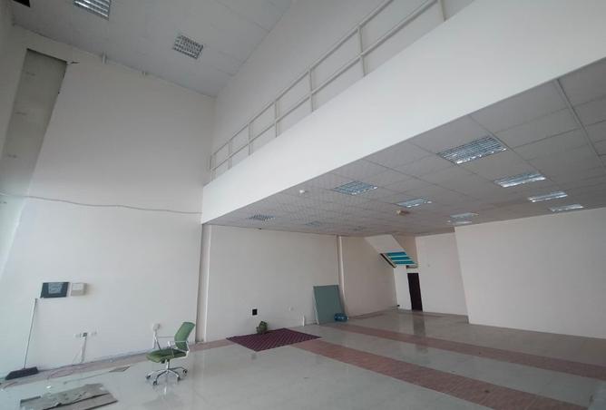 16097481 - صورة العقار 3