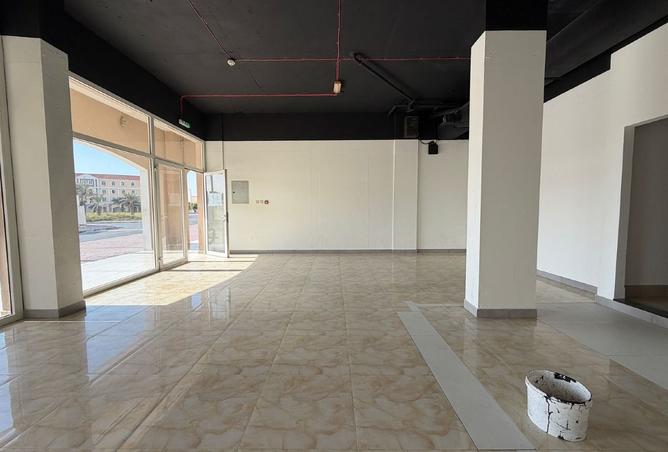 16061179 - Property Image 2