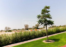 Freehold | G+1 Villa Plot | Al Mamzar