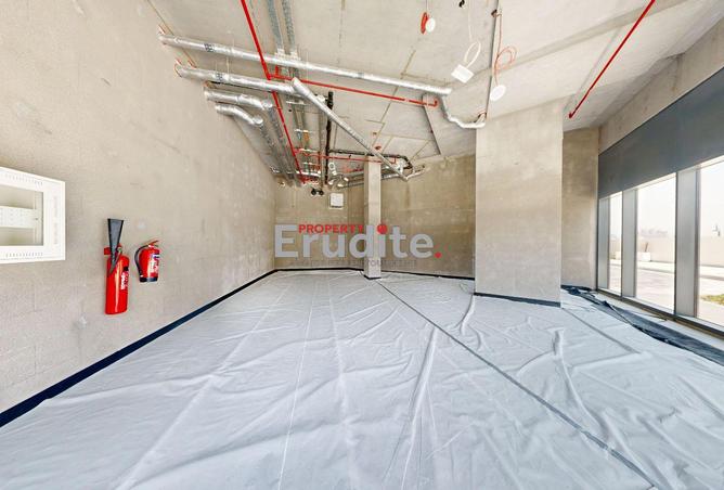 15136981 - Property Image 3