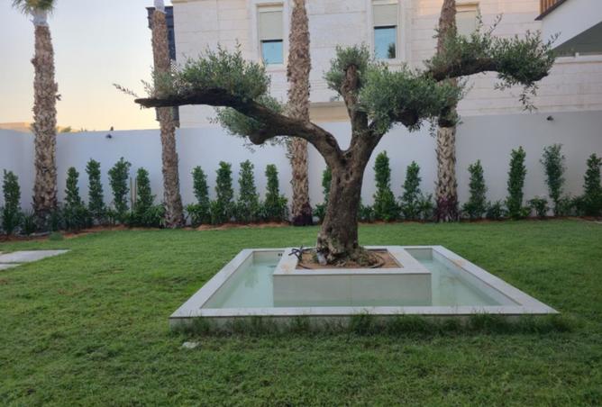 15848717 - صورة العقار 3