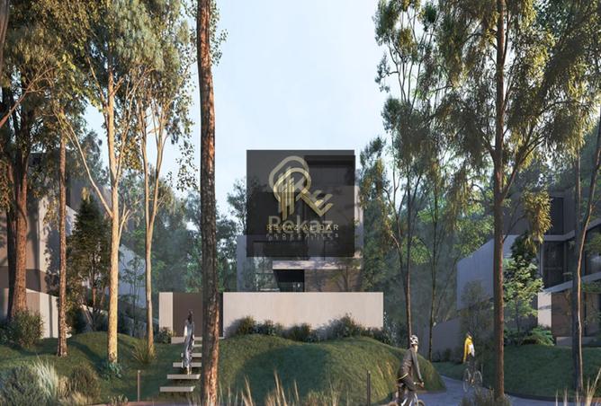 15824891 - Property Image 3