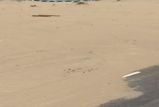 15961805 - صورة العقار 3