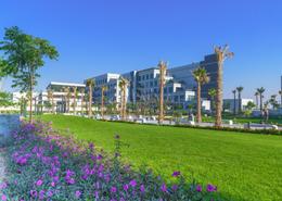 Garden image for: Apartment - 1 bedroom - 1 bathroom for rent in Olivara Residences 1 - Olivara Residences - Dubai Studio City - Dubai, Image 1
