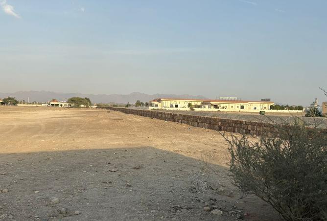 15596567 - Property Image 3