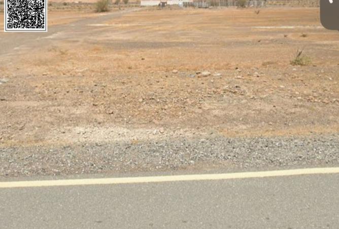 15534606 - Property Image 3