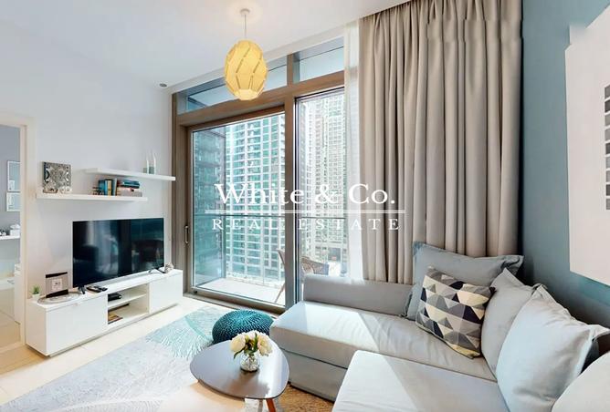 15244281 - Property Image 3