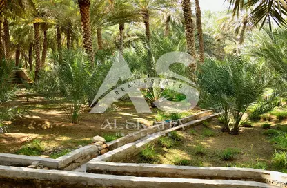 Land - Studio for sale in Rimah - Abu Dhabi