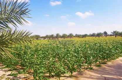 مزرعة - استوديو للبيع في الرحبة - أبوظبي