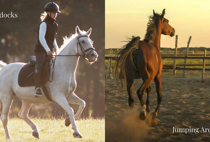 15915584 - الصورة الرئيسية للعقار