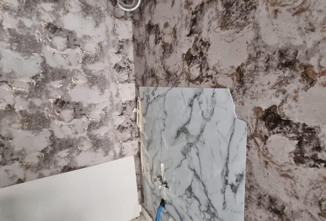 15826710 - Property Image 3