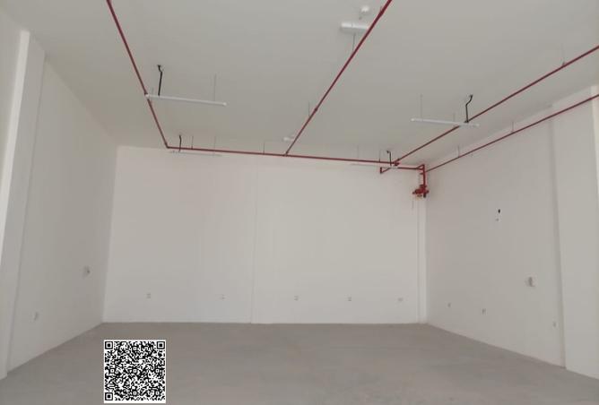16062997 - Property Image 3
