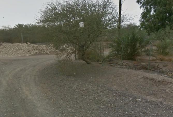 15901088 - Property Image 3