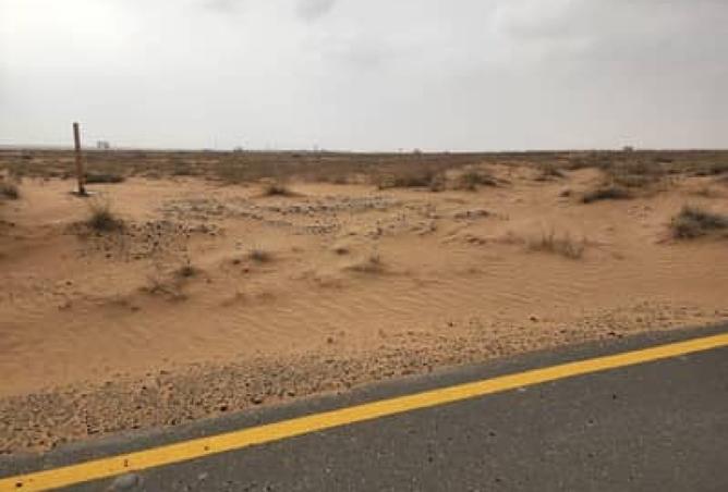 15866948 - Property Image 2